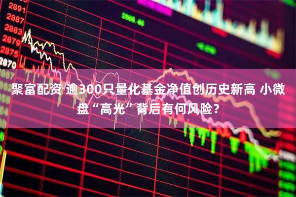 聚富配资 逾300只量化基金净值创历史新高 小微盘“高光”背后有何风险？