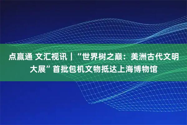 点赢通 文汇视讯｜“世界树之巅：美洲古代文明大展”首批包机文物抵达上海博物馆