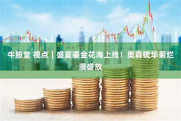 牛股堂 视点｜盛夏鎏金花海上线！奥森硫华菊烂漫盛放