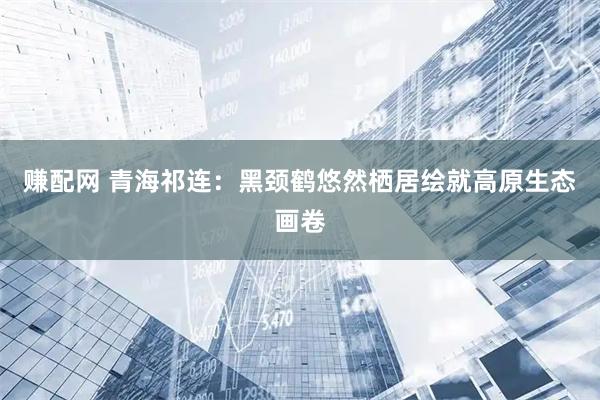 赚配网 青海祁连：黑颈鹤悠然栖居绘就高原生态画卷